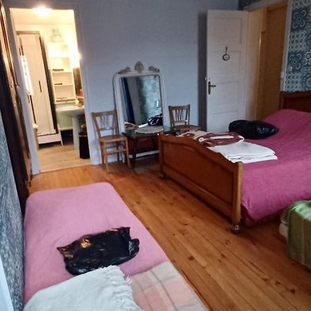 Chez Virginie - Chambre Du Bourg Lourdes Exterior photo